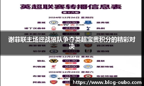 谢菲联主场迎战狼队争夺英超宝贵积分的精彩对决